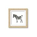 Picture of Little Zebra _GroupedProduct_Square_Mini_ _GroupedProduct_Square_Framed_Matted_