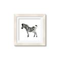Picture of Little Zebra _GroupedProduct_Square_Mini_ _GroupedProduct_Square_Framed_Matted_
