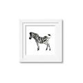 Picture of Little Zebra _GroupedProduct_Square_Mini_ _GroupedProduct_Square_Framed_Matted_
