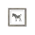 Picture of Little Zebra _GroupedProduct_Square_Mini_ _GroupedProduct_Square_Framed_Matted_