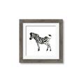 Picture of Little Zebra _GroupedProduct_Square_Mini_ _GroupedProduct_Square_Framed_Matted_