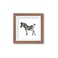 Picture of Little Zebra _GroupedProduct_Square_Mini_ _GroupedProduct_Square_Framed_Matted_