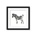Picture of Little Zebra _GroupedProduct_Square_Mini_ _GroupedProduct_Square_Framed_Matted_
