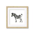 Picture of Little Zebra _GroupedProduct_Square_Mini_ _GroupedProduct_Square_Framed_Matted_