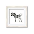 Picture of Little Zebra _GroupedProduct_Square_Mini_ _GroupedProduct_Square_Framed_Matted_
