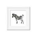 Picture of Little Zebra _GroupedProduct_Square_Mini_ _GroupedProduct_Square_Framed_Matted_