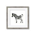 Picture of Little Zebra _GroupedProduct_Square_Mini_ _GroupedProduct_Square_Framed_Matted_