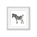 Picture of Little Zebra _GroupedProduct_Square_Mini_ _GroupedProduct_Square_Framed_Matted_