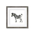 Picture of Little Zebra _GroupedProduct_Square_Mini_ _GroupedProduct_Square_Framed_Matted_