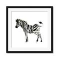 Picture of Little Zebra _GroupedProduct_Square_Mini_ _GroupedProduct_Square_Framed_Matted_