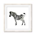 Picture of Little Zebra _GroupedProduct_Square_Mini_ _GroupedProduct_Square_Framed_Matted_