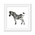 Picture of Little Zebra _GroupedProduct_Square_Mini_ _GroupedProduct_Square_Framed_Matted_