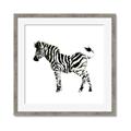 Picture of Little Zebra _GroupedProduct_Square_Mini_ _GroupedProduct_Square_Framed_Matted_
