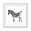 Picture of Little Zebra _GroupedProduct_Square_Mini_ _GroupedProduct_Square_Framed_Matted_