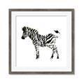 Picture of Little Zebra _GroupedProduct_Square_Mini_ _GroupedProduct_Square_Framed_Matted_