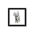 Picture of Little Elephant _GroupedProduct_Square_Mini_ _GroupedProduct_Square_Framed_Matted_
