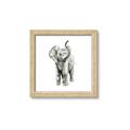 Picture of Little Elephant _GroupedProduct_Square_Mini_ _GroupedProduct_Square_Framed_Matted_