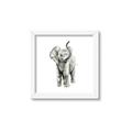 Picture of Little Elephant _GroupedProduct_Square_Mini_ _GroupedProduct_Square_Framed_Matted_