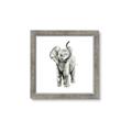Picture of Little Elephant _GroupedProduct_Square_Mini_ _GroupedProduct_Square_Framed_Matted_