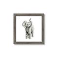 Picture of Little Elephant _GroupedProduct_Square_Mini_ _GroupedProduct_Square_Framed_Matted_