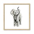 Picture of Little Elephant _GroupedProduct_Square_Mini_ _GroupedProduct_Square_Framed_Matted_