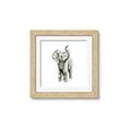 Picture of Little Elephant _GroupedProduct_Square_Mini_ _GroupedProduct_Square_Framed_Matted_
