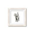 Picture of Little Elephant _GroupedProduct_Square_Mini_ _GroupedProduct_Square_Framed_Matted_