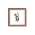 Picture of Little Elephant _GroupedProduct_Square_Mini_ _GroupedProduct_Square_Framed_Matted_