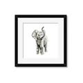 Picture of Little Elephant _GroupedProduct_Square_Mini_ _GroupedProduct_Square_Framed_Matted_