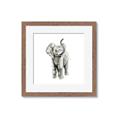 Picture of Little Elephant _GroupedProduct_Square_Mini_ _GroupedProduct_Square_Framed_Matted_