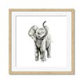 Picture of Little Elephant _GroupedProduct_Square_Mini_ _GroupedProduct_Square_Framed_Matted_