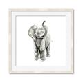 Picture of Little Elephant _GroupedProduct_Square_Mini_ _GroupedProduct_Square_Framed_Matted_