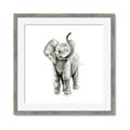 Picture of Little Elephant _GroupedProduct_Square_Mini_ _GroupedProduct_Square_Framed_Matted_