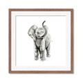 Picture of Little Elephant _GroupedProduct_Square_Mini_ _GroupedProduct_Square_Framed_Matted_