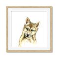 Picture of Woodland Wolf _GroupedProduct_Square_Mini_ _GroupedProduct_Square_Framed_Matted_