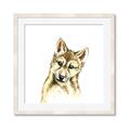Picture of Woodland Wolf _GroupedProduct_Square_Mini_ _GroupedProduct_Square_Framed_Matted_