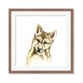 Picture of Woodland Wolf _GroupedProduct_Square_Mini_ _GroupedProduct_Square_Framed_Matted_