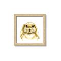 Picture of Woodland Bunny  _GroupedProduct_Square_Mini_ _GroupedProduct_Square_Framed_Matted_