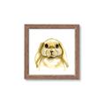 Picture of Woodland Bunny  _GroupedProduct_Square_Mini_ _GroupedProduct_Square_Framed_Matted_