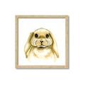 Picture of Woodland Bunny  _GroupedProduct_Square_Mini_ _GroupedProduct_Square_Framed_Matted_