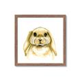 Picture of Woodland Bunny  _GroupedProduct_Square_Mini_ _GroupedProduct_Square_Framed_Matted_