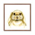Picture of Woodland Bunny  _GroupedProduct_Square_Mini_ _GroupedProduct_Square_Framed_Matted_
