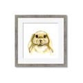 Picture of Woodland Bunny  _GroupedProduct_Square_Mini_ _GroupedProduct_Square_Framed_Matted_