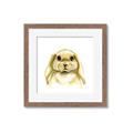 Picture of Woodland Bunny  _GroupedProduct_Square_Mini_ _GroupedProduct_Square_Framed_Matted_