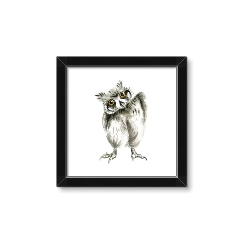Picture of Woodland Owl _GroupedProduct_Square_Mini_ _GroupedProduct_Square_Framed_Matted_