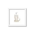 Picture of Playful Kitty _GroupedProduct_Square_Mini_ _GroupedProduct_Square_Framed_Matted_