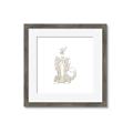 Picture of Playful Kitty _GroupedProduct_Square_Mini_ _GroupedProduct_Square_Framed_Matted_