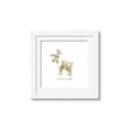 Picture of Wild little Caribou _GroupedProduct_Square_Mini_ _GroupedProduct_Square_Framed_Matted_