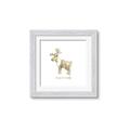 Picture of Wild little Caribou _GroupedProduct_Square_Mini_ _GroupedProduct_Square_Framed_Matted_