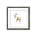 Picture of Wild little Caribou _GroupedProduct_Square_Mini_ _GroupedProduct_Square_Framed_Matted_